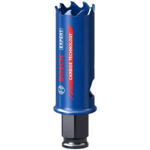 Bosch 2608900420 EXPERT Power-Change gatzaag Tough Material 22mm