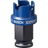Bosch Accessories EXPERT Sheet Metal 2608900491 Gatenzaag 1 stuks 20 mm 1 stuk(s)