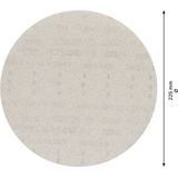 Expert M480 Schuurnet - K100 - 225 mm - 1 stuk