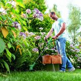 Bosch Home & Garden Elektro-Rasentrimmer EasyGrassCut 23, 280 W, halbautomatischs Schneidesystem