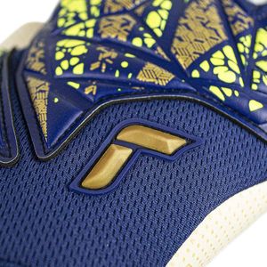 Reusch Attrakt Gold X Glueprint