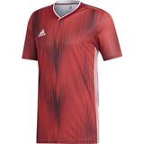 Adidas - Tiro 19 Power - T-shirt - Rood/Wit - Korte Mouwen