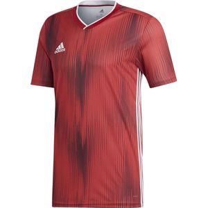 Adidas - Tiro 19 Power - T-shirt - Rood/Wit - Korte Mouwen