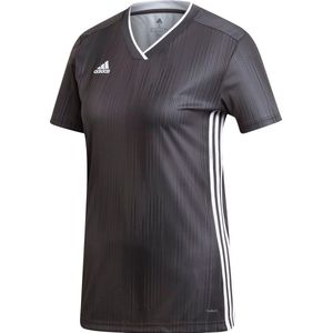 Adidas - Tiro 19 - T-shirt - Met Korte Mouwen