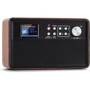 Nestor DAB+ radio DAB+/FM 2 bedrijfsmodi 2,4"" TFT kleurendisplay bruin