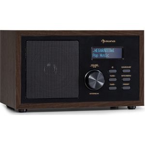 Ambient DAB+/FM Radio BT 5,0 AUX-In LC Display Alarm Kookwekker