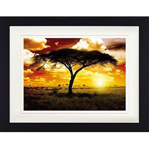 1art1 Afrika Poster Lone Acacia, Sunset In The Savannah Ingelijste Foto Met Passepartout | Muur Foto's | In Een Fotolijstje 40x30 cm