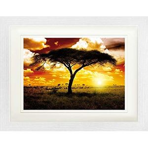 1art1 Afrika Poster Lone Acacia, Sunset In The Savannah Ingelijste Foto Met Passepartout | Muur Foto's | In Een Fotolijstje 40x30 cm