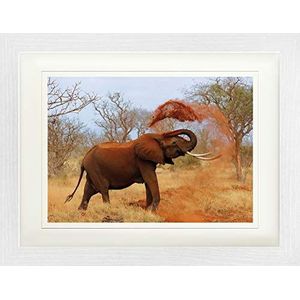1art1 Olifanten Poster African Elefant Taking His Sand Shower Ingelijste Foto Met Passepartout | Muur Foto's | In Een Fotolijstje 40x30 cm