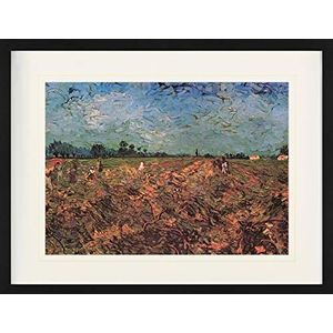 1art1 Vincent Van Gogh Poster The Green Vineyard, 1888 Ingelijste Foto Met Passepartout | Muur Foto's | In Een Fotolijstje 80x60 cm