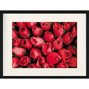 1art1 Rozen Poster Red Roses, Sea Of Blossoms Ingelijste Foto Met Passepartout | Muur Foto's | In Een Fotolijstje 80x60 cm