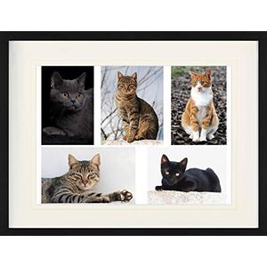 1art1 Katten Poster Cute Kitty Cats, Collage Ingelijste Foto Met Passepartout | Muur Foto's | In Een Fotolijstje 80x60 cm