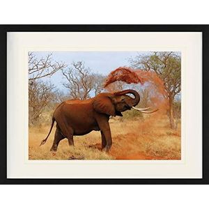 1art1 Olifanten Poster African Elefant Taking His Sand Shower Ingelijste Foto Met Passepartout | Muur Foto's | In Een Fotolijstje 80x60 cm
