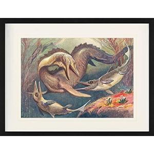 1art1 Dinosauriërs Poster Mosasaur And Ichthyosaurs, Heinrich Harder, 1912 Ingelijste Foto Met Passepartout | Muur Foto's | In Een Fotolijstje 80x60 cm