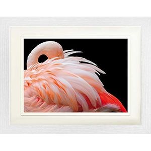 1art1 Flamingos Poster Beautiful Pink Flamingo Feathers Ingelijste Foto Met Passepartout | Muur Foto's | In Een Fotolijstje 40x30 cm