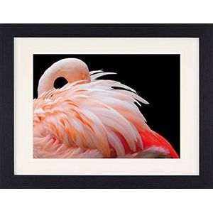 1art1 Flamingos Poster Beautiful Pink Flamingo Feathers Ingelijste Foto Met Passepartout | Muur Foto's | In Een Fotolijstje 40x30 cm