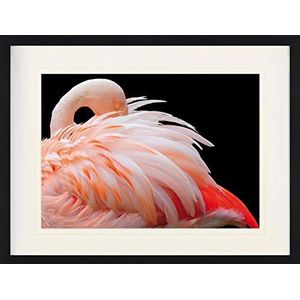 1art1 Flamingos Poster Beautiful Pink Flamingo Feathers Ingelijste Foto Met Passepartout | Muur Foto's | In Een Fotolijstje 80x60 cm