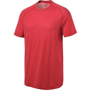 Men's t-shirt puma evostripe evoknit tee
