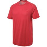 Men's t-shirt puma evostripe evoknit tee