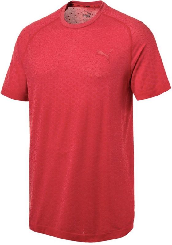 Men's t-shirt puma evostripe evoknit tee