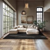 tectake® Kortpolig Vloerkleed - 200 x 290 cm - Zwart - Tapijt voor Woonkamer, Slaapkamer, Eetkamer - Onderhoudsvriendelijk en Wasbaar - Antislip Ondertapijt - Allergievriendelijk - Diverse maten en kleuren