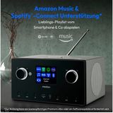 MEDION P85444 2.1 Internetradio met Subwoofer (DAB+, UKW Radio, Spotify Connect, WLAN, Bluetooth, Streaming, Equalizer, kleurendisplay, USB, AUX, wekker, sluimerfunctie, slaaptimer) titanium