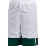 3G Speed Reversible Short