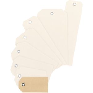 Etiket om aan dozen te hangen, doos met metalen oog, VE = 1000 stuks, lxb = 60 x 30 mm