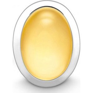 Quinn - Oorbellen - Zilver - Citrien - Edelsteen - 925 Zilver