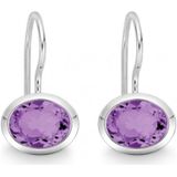 Quinn - Oorbellen - Zilver - Amethist - Model 035811933