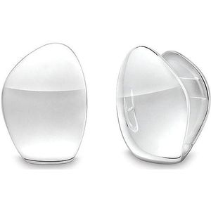 Quinn - Oorbellen - Zilver - Gepolijst - 925 Zilver