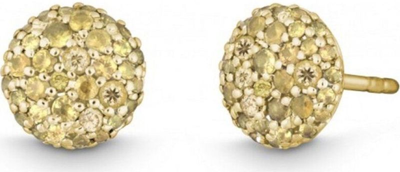 Quinn - Luminare - Oorstekers - Geel Goud 585 - Saffier