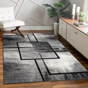 Teppich Wohnzimmer Vintage Kurzflor Modernes Geometrisches Muster Abstrakt Grau 240x340 cm - Paco Home