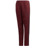Adidas - Tiro19 - Joggingbroek - Kids