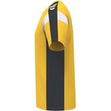 Erima Celebrate 125 Function T-shirt Met Korte Mouwen