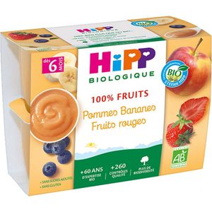 HiPP 100% Fruit Appels Bananen Rood Fruit Vanaf 6 Maanden Biologisch 4 Potten