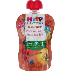 HiPP 100% Fruit Biologische Appel Perzik Bosvruchten Kalebas Vanaf 4/6 Maanden 90 g