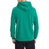 PUMA kinderteamGOAL 23 Casuals hoody sweatshirt pullover 656711 groen