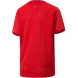 PUMA - Teamgoal 23 - Trainingsshirt - Kleurblokken - Jongens
