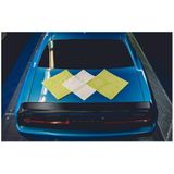 Quick'n'Gloss - Microvezeldoeken - Groen/Wit - 3 Stuks - 40 x 40 cm