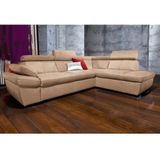 exxpo - sofa fashion Ecksofa »Salerno, klassisch modernes Funktionssofa, hoher Sitzkomfort, L-Form«, inkl. Kopf- und Armteilverstellung, wahlweise mit Bettfunktion