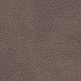 exxpo - sofa fashion Polsterbank "Intenso, Sitzbank, Breite 162 cm, wahlweise in Leder oder Textil", hohe Bodenfreiheit, frei im Raum stellbar, hoher Sitzkomfort