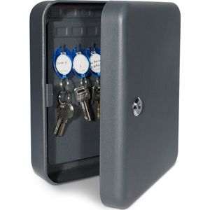 Navaris sleutelkastje voor 48 sleutels - Muurgemonteerde kast met haken voor sleutelbossen, labels en sleutelringen - Afsluitbare metalen opslag