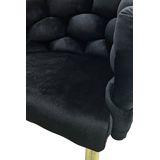 Lalee.Avenue Laleeavenue Grace 125 stoel set van 2 zwart / goud - goud CH307-BLK-GLD