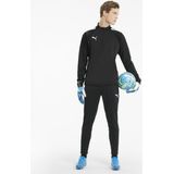 PUMA teamLIGA Trainingsbroek - Zwart - 100% Polyester