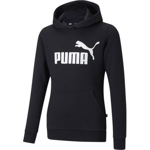 Puma Essential Logo Hoodie