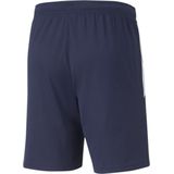 PUMA TeamLIGA Trainingsbroekje - Donkerblauw - 100% Gerecycled Polyester