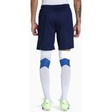 Puma - Team Liga - Kinder Shorts - Zwart - 100% Gerecycleerd Polyester