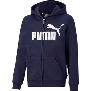 Puma Essential Sweatshirt Met Rits