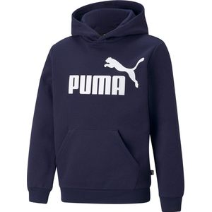 Puma Essential Hoodie Junior - Maat 104